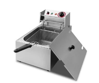 Electric Deep Fryer